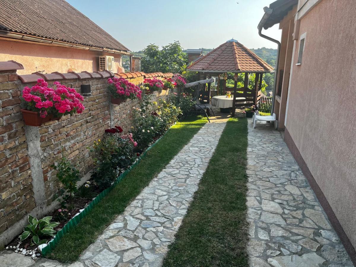 Apartman Simona Vrdnik Buitenkant foto